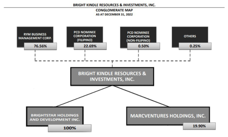 Conglomerate Map or Group Corporate Structure – Bright Kindle